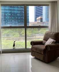 The Sail @ Marina Bay (D1), Apartment #506741931